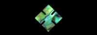 Abalone 5mm slotted square 10 pack