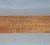 Torrified curly maple bass neck blank type FB light figure number 182