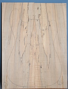 Spalted maple guitar top type C light figure number 21