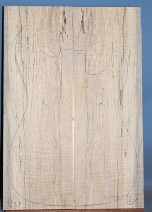 Spalted maple guitar top type C light figure number 20