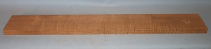 Torrified curly maple neck blank type F medium figure number 21