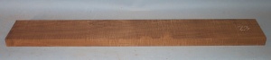 Torrified curly maple neck blank type F medium figure number 23