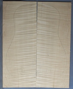 Curly maple back and sides number 12 highest figure